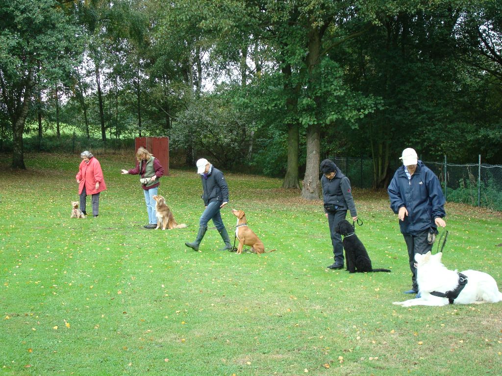 Claudia Engelmann (Hundetrainerin der HundeKompetenz.Prinz.) erklärt den Teilnehmerin, wie nah der Hund am Bein sitzen soll in Kombination mit dem Kommando "Bleib".